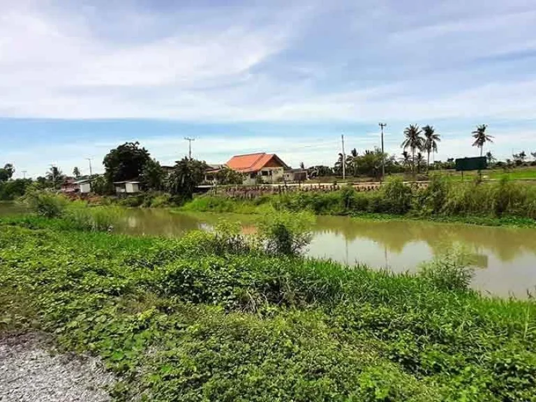 ขายที่ดินติดถนน ติดคลองชลประทาน โคกโคเฒ่า เมืองสุพรรณบุรี