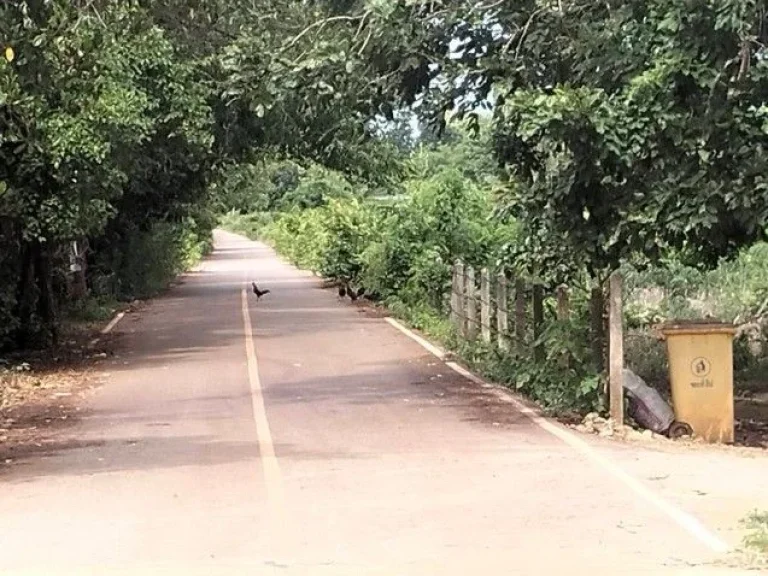 ขายที่ดินสวยวิวภูเขา ติดถนนใหญ่เหมาะสำหรับทำรีสอร์ท กาญจนบุรี