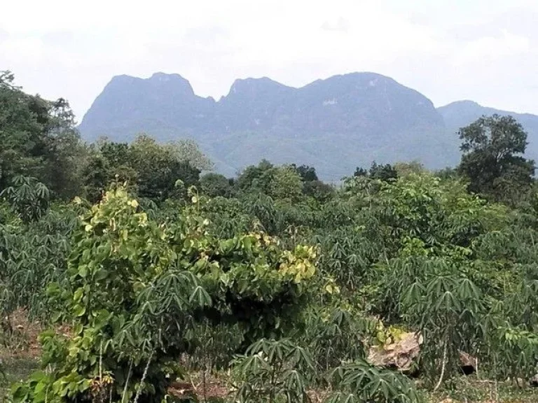 ขายที่ดินสวยวิวภูเขา ติดถนนใหญ่เหมาะสำหรับทำรีสอร์ท กาญจนบุรี