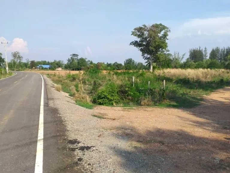 ขายที่ดินติดถนนลาดยาง ตำบลหนองบัวใหญ่ อำเภอจัตุรัส