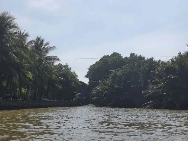 ขายที่ดินริมน้ำ ที่ดินติดแม่น้ำเจ้าพระยา บางกระเจ้า