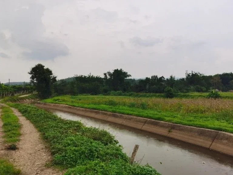 ที่ดินวิวดอยหลวงเชียงดาว วิวสวยมาก เอกสารโฉนด ขนาด