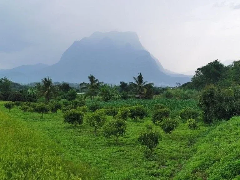 ที่ดินวิวดอยหลวงเชียงดาว วิวสวยมาก เอกสารโฉนด ขนาด