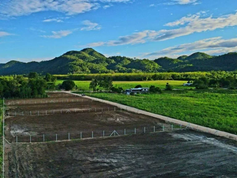 ขายที่ดิน พื้นที่เกษตรกรรม ติดถนนลาดยาง แถมล้อมรั้ว