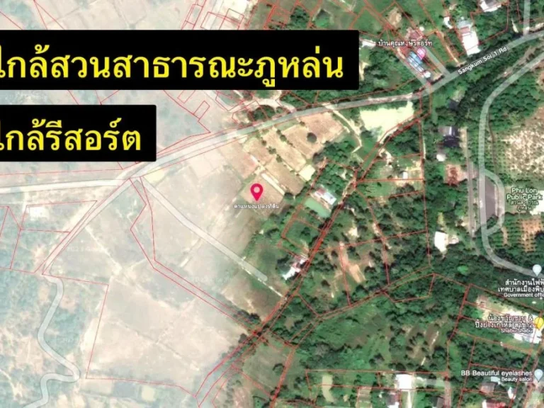 ประกาศขาย ที่ดิน อำเภอพิบูลมังสาหาร จังหวัด อุบลราชธานี จำนวน