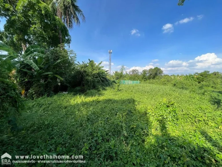 ขายที่ดิน ซนนทบุรี8 แยก8 ถนนทบุรี1 พื้นที่ 2-3-41 ไร่