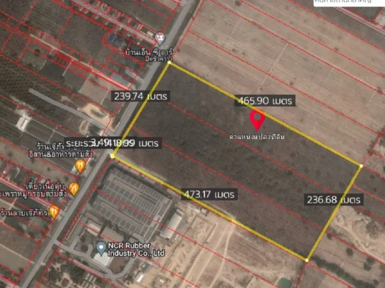 ให้เช่า ขาย ที่ดิน นิคมพัฒนา ระยอง 71 ไร่กว่าถนน นิคมพัฒนา