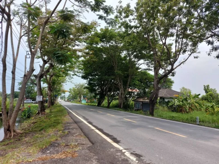 ขายที่ดินหนองจอก ติดถนนผดุงพันธ์-ติดคลองแสนแสบ เนื้อที่ 5 ไร่