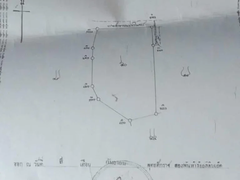 ที่ดินแปลงใหญ่ ขนาด 31 ไร่ ขายถูก อหนองไผ่ เพชรบูรณ์