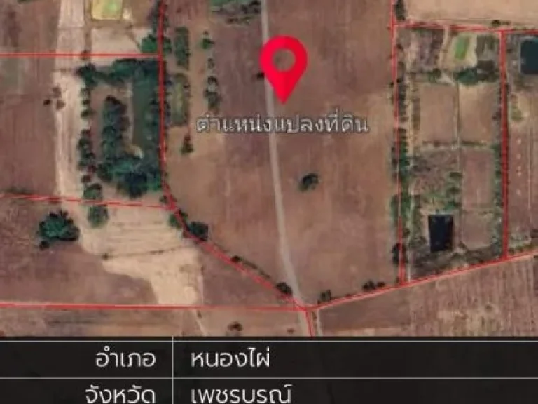 ที่ดินแปลงใหญ่ ขนาด 31 ไร่ ขายถูก อหนองไผ่ เพชรบูรณ์