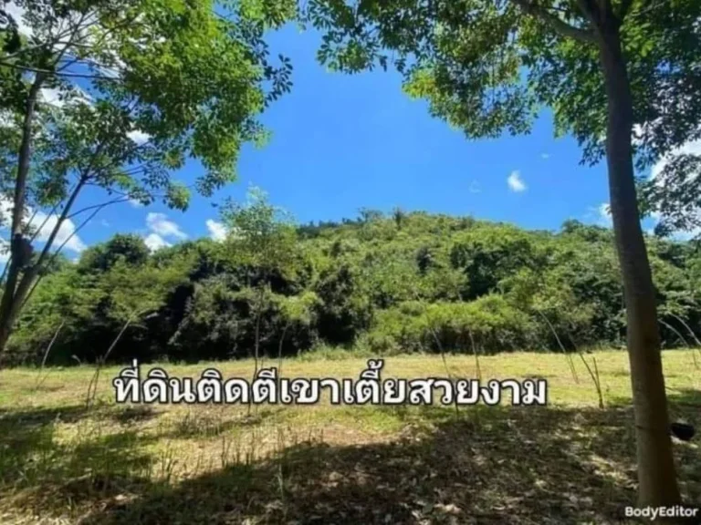 ขายที่ดินทำเลทอง ที่ดินมังกร 200 ตรว ติดเขา ติดน้ำ วิวภูเขา