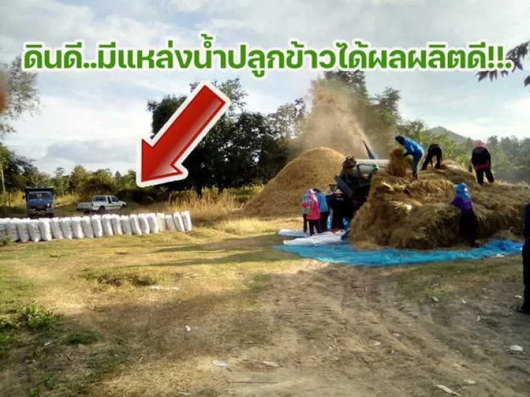 ที่ดินสวยใกล้ภูทอกติดถนนโครงการเลี่ยงเมืองสี่เลนเชียงคานล่าส