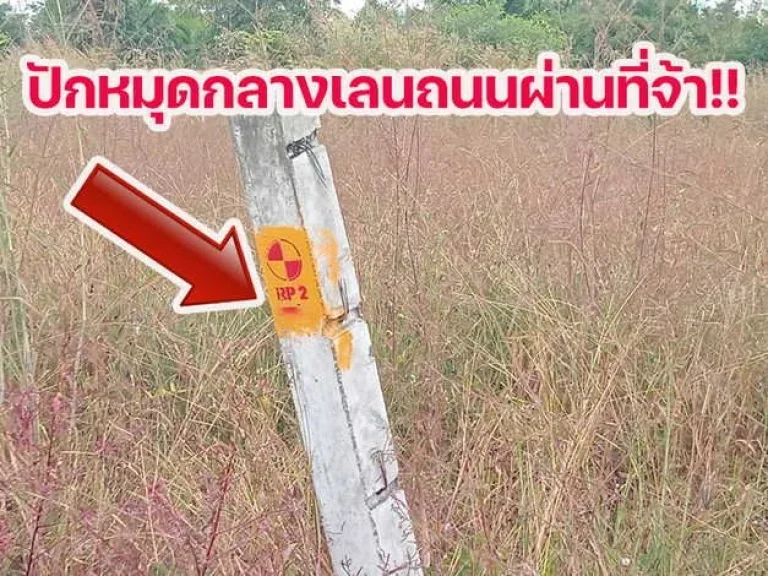 ที่ดินสวยใกล้ภูทอกติดถนนโครงการเลี่ยงเมืองสี่เลนเชียงคานล่าส