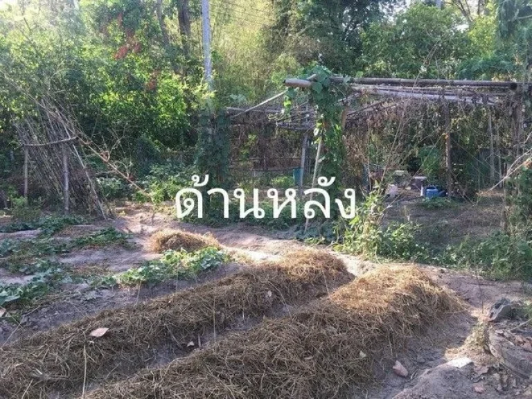 ขายที่ดิน1-0-1ไร่ พร้อมบ้าน2ชั้น ติดถนนทางหลวงชนบท อทัพทัน