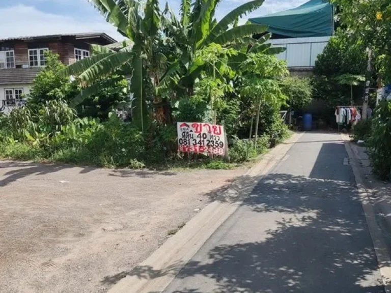 ขายที่ดินถูกมาก ซแสมดำ 3 หลังวัดพรหมรังษี ใกล้ถนนพระราม 2