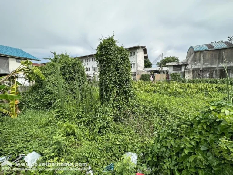 ขายที่ดินราคาถูก 100 ตรว คลองหลวง ซคลองหกตะวันตก 23