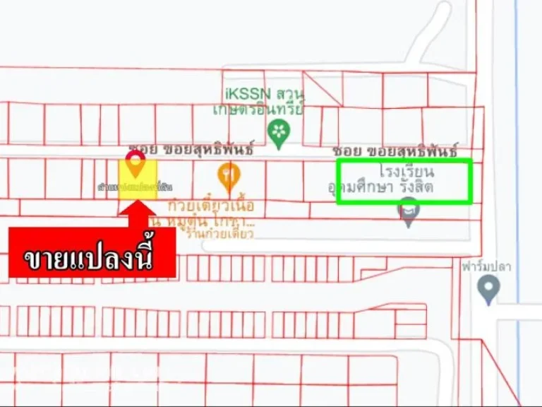 ขายที่ดินราคาถูก 100 ตรว คลองหลวง ซคลองหกตะวันตก 23