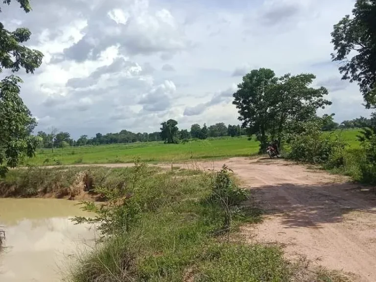 ที่นาแปลงสวย โฉนด ติดทางสาธารณะและร่องน้ำ อนางรอง บุรีรัมย์