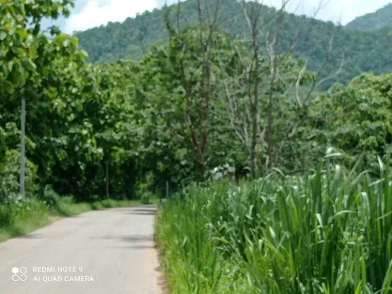 ขายที่ดินติดถนนสายเอเซีย วิวสวย อำเภอไทรโยค กาญจนบุรี