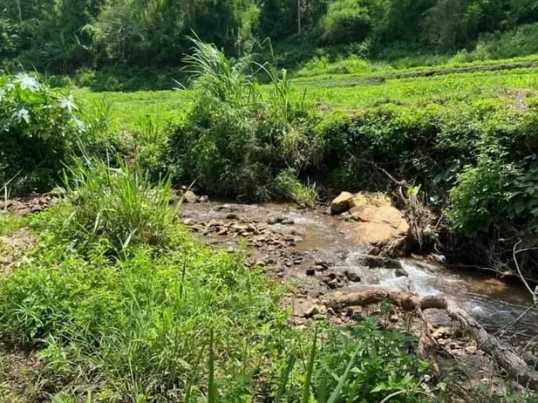 ขายที่ดินบ้านแม่แพะสะเมิงเหนือติดลำธารน้ำไหลผ่านโฉนดพร้อมโอน