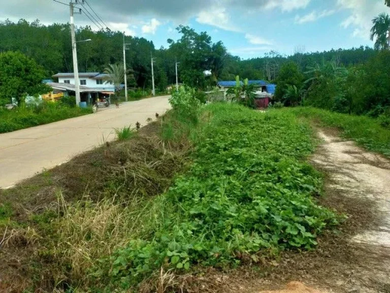 ขายที่ดินใกล้อ่างเก็บน้ำประแสร์ ติดถนนคอนกรีต เขตชุมแสง