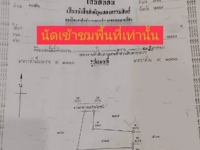 สวนทุเรียนให้ผลผลิตเต็มที่ ใกล้ถนนสุขุมวิทเขตกองดิน อแกลง