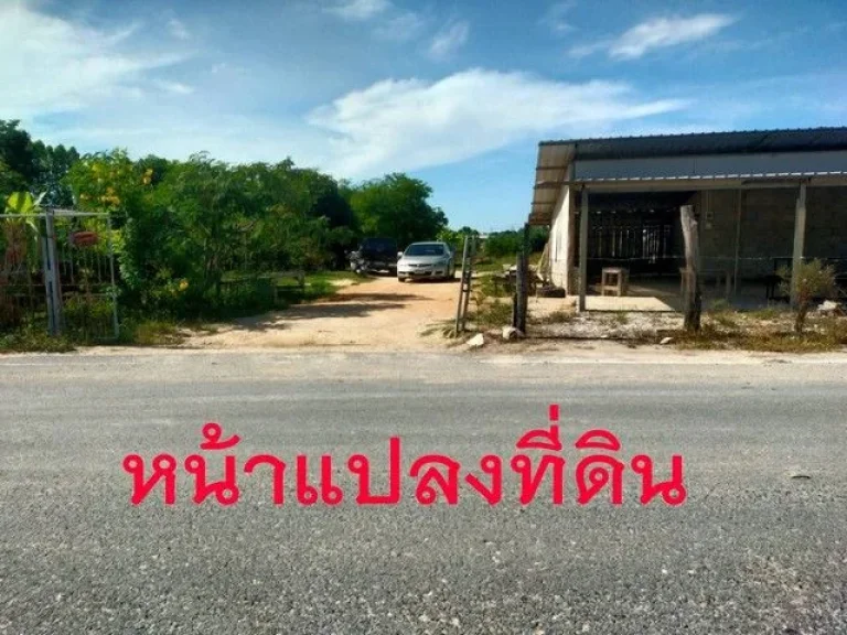 ขายที่ดิน ซอยพยูน 20 ติดถนนสองด้านผังสีเหลือ เขตบ้านฉาง