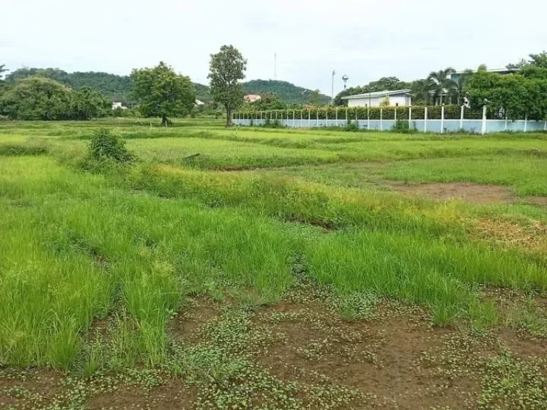 ที่ดินเปล่า ใกล้สนามช้าง และสถานที่สำคัญหลายแห่ง