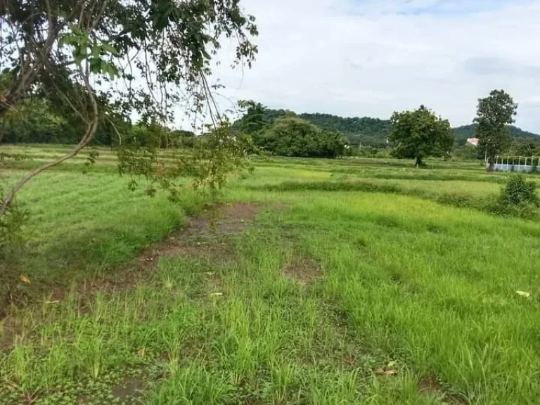 ที่ดินเปล่า ใกล้สนามช้าง และสถานที่สำคัญหลายแห่ง