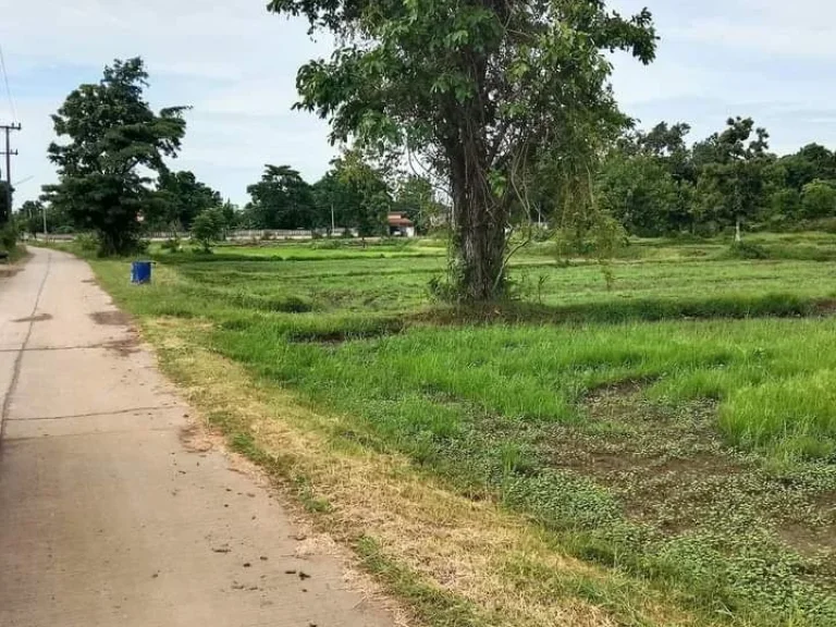 ที่ดินเปล่า ใกล้สนามช้าง และสถานที่สำคัญหลายแห่ง