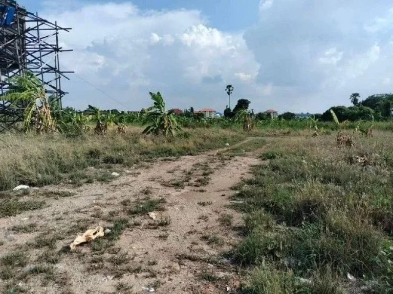 ขายที่ดินติดถนนใหญ่ ปทุม-รังสิต เชิงสะพานปทุมธานี 1 พื้นที่