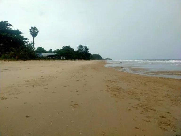 ขายที่ดินติดชายหาดส่วนตัวแหลมแม่พิมพ์ ใกล้โรงแรมโนโวเทล