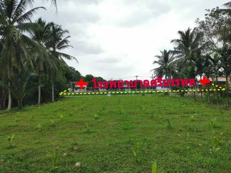 ขายที่ดินติดถนนใหญ่ ตรงข้ามโรงพยาบาลศรีบรรพต จังหวัดพัทลุง