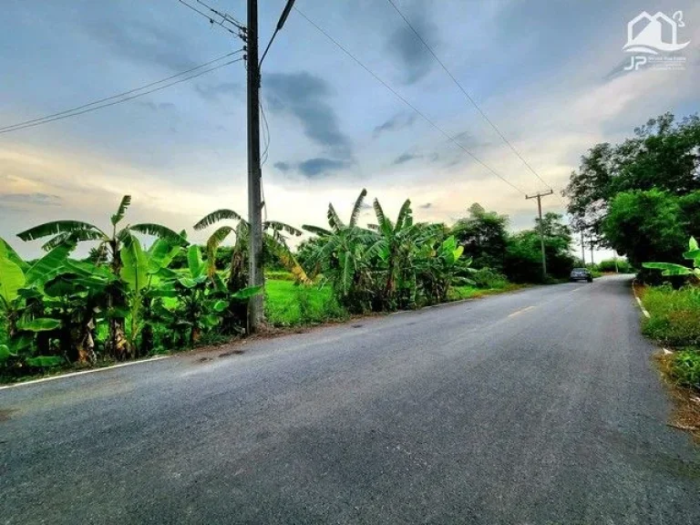 ขายที่ดินติดถนนลาดยางใกล้มศว คลองศีรษะกระบือ องครักษ์ 25 ไร่