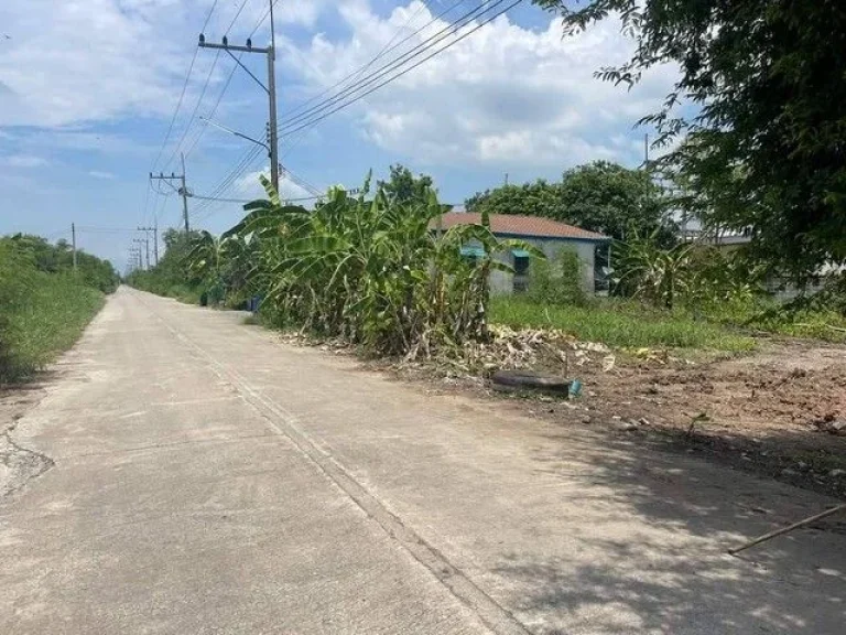 ที่ดินคลอง 12 หนองเสือ ถมแล้ว ติดถนนคอนกรีต ขนาด 100 ตรว