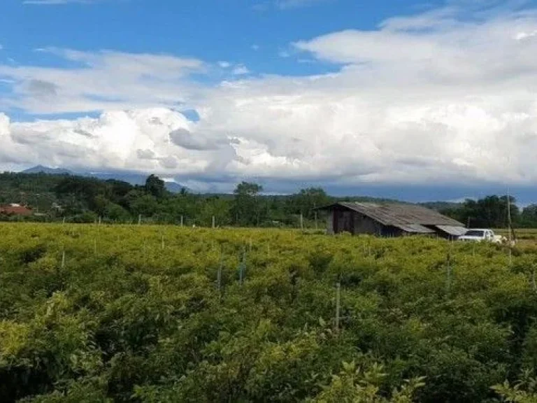 ขายที่ติดน้ำ วิวดอยเชียงดาว จังหวัดเชียงใหม่ ขนาดที่ดิน 16