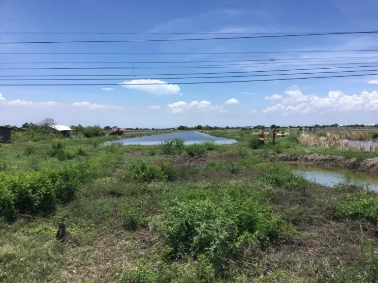 ที่ดิน 2ไร่ 13ตรว ติด จสมุทรปราการ ติดถนนสุขุมวิท