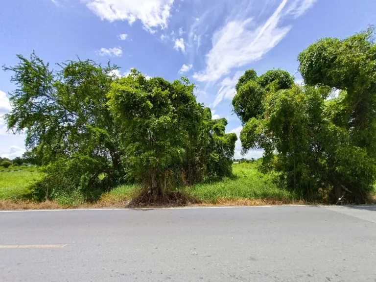 ขาย ที่ดิน 1 ไร่ ตระแหง อลาดหลุมแก้ว ปทุมธานี ติดถนนเทศบาล