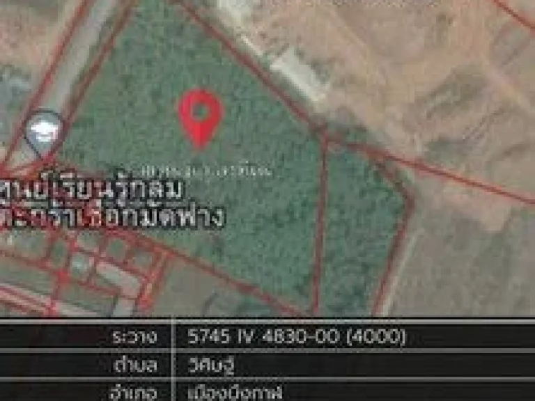 ขายที่ดินทำเลดี อยู่ในแหล่งชุมชน เหมาะแก่การทำโกดังสินค้า