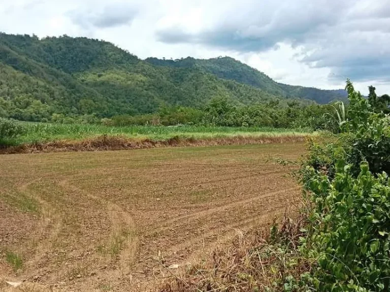 ที่ดินเปล่า หน้าติดถนนสายหลัก 117 หลังติดวิวดอยสวย