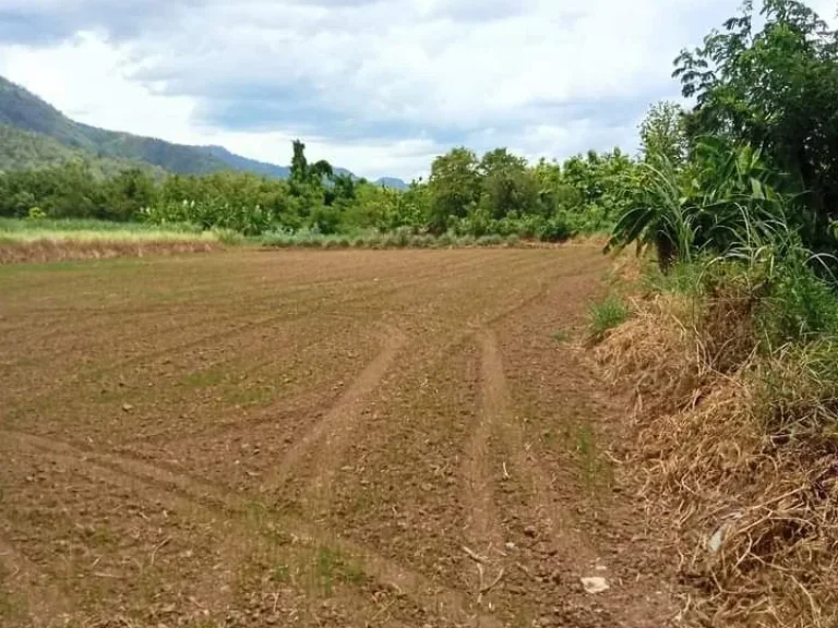 ที่ดินเปล่า หน้าติดถนนสายหลัก 117 หลังติดวิวดอยสวย