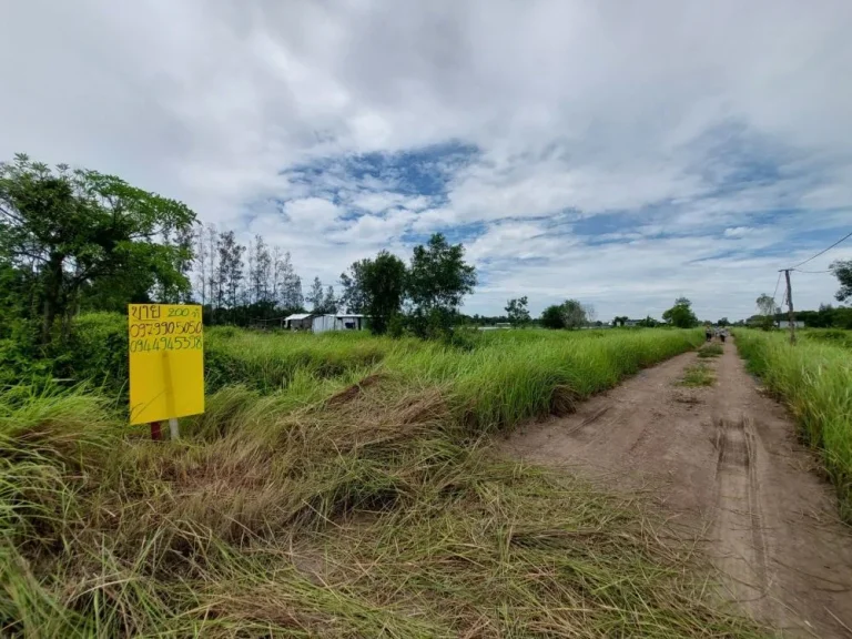 ขายด่วน ที่ดิน 200 ตรว คลอง 9 ฝั่งขาออก หนองเสือ จ ปทุมธานี