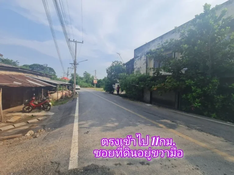 ขายด่วน ที่ดิน 200 ตรว คลอง 9 ฝั่งขาออก หนองเสือ จ ปทุมธานี