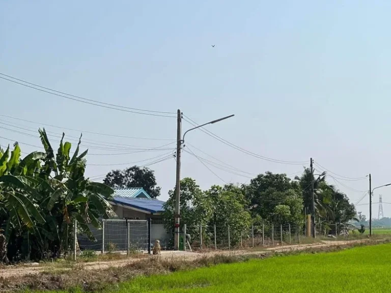 ขายที่ดิน 60 ไร่ ตำบลบึงบอน อำเภอหนองเสือ จังหวัดปทุมธานี