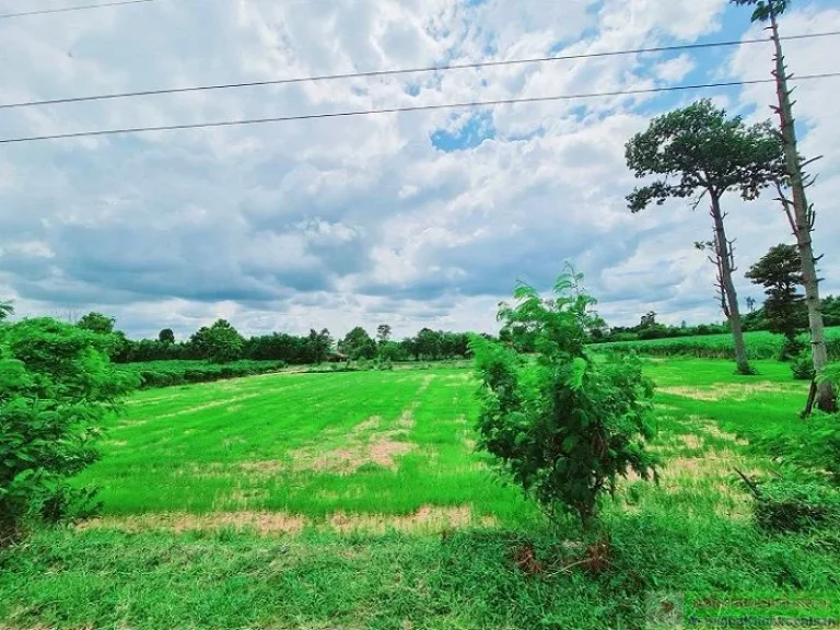 ที่ดินแปลงใหญ่ ติดถนนคอนกรีต เหมาะทำเกษตร น้ำ-ไฟถึง