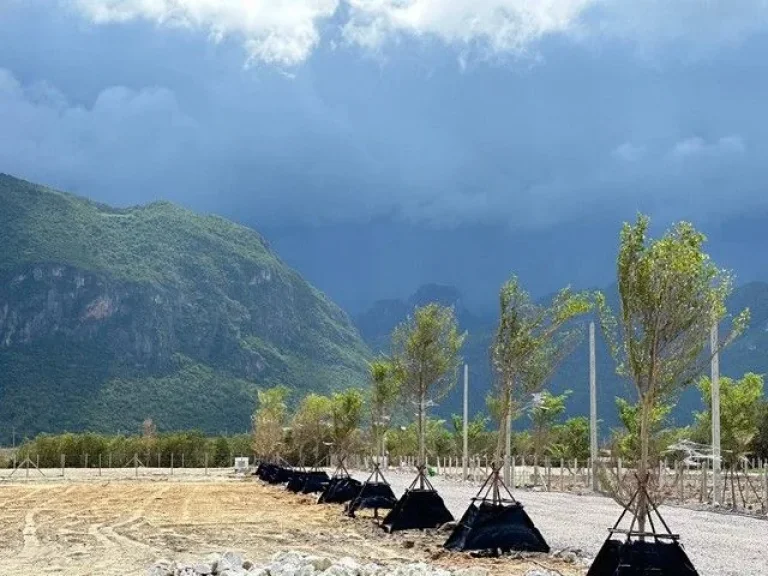 ขายที่ดินคุ้งโตนด อำเภอกุยบุรี จังหวัดประจวบคีรีขันธ์