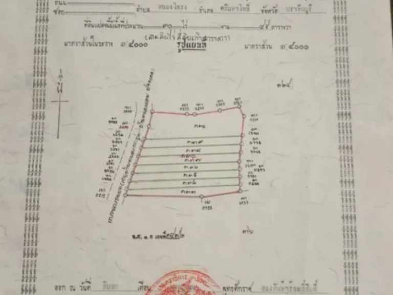 ที่เปล่า 30ไร่ เหมาะทำที่อยู่อาศัย บ้านจัดสรร ใกล้นิคม304