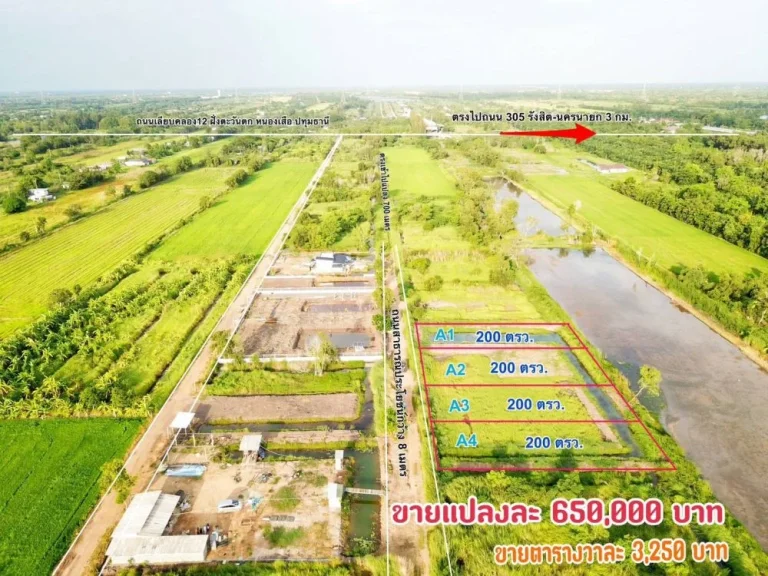 ขายถูก ที่ดินคลอง12 เนื้อที่ 200 ตรวหนองเสือ ปทุมธานี