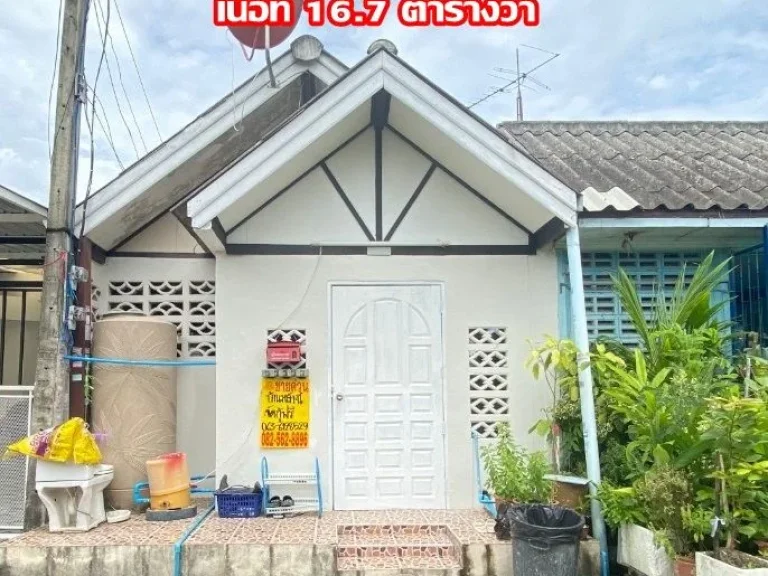 ขายบ้านชั้นเดียว หมู่บ้านธัญพฤกษ์ คลอง7 เลขที่109782