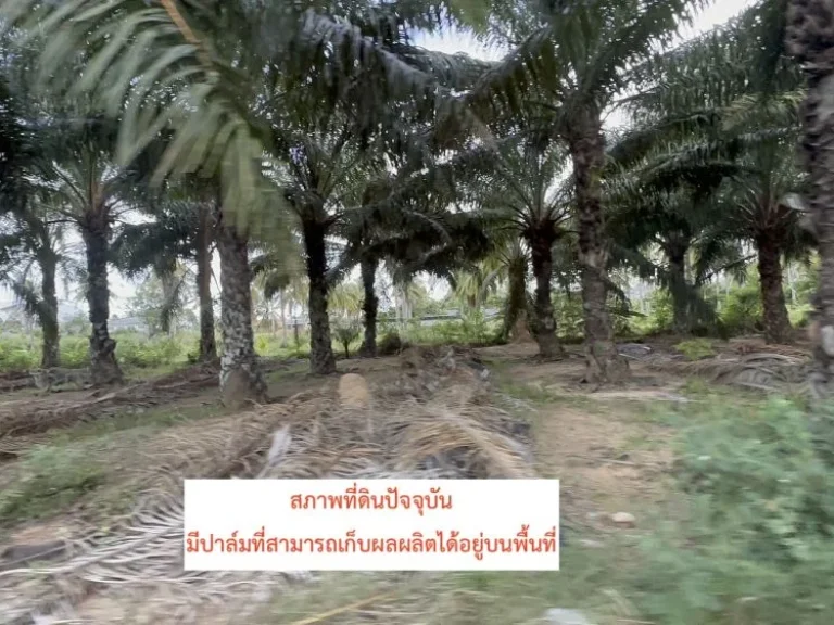 ขายที่ดินทำเลดี ในอำเภอสามร้อยยอด จังหวัดประจวบคีรีขันธ์